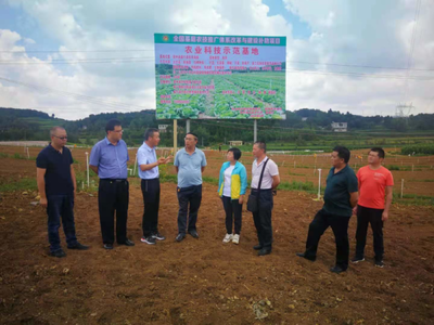省農業科技發展中心主任潘爾珣深入畢節調研，指導基層農技推廣補助項目建設工作