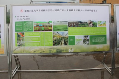 園藝學院春菜品種展示交流會 科技賦能農業，創新引領未來